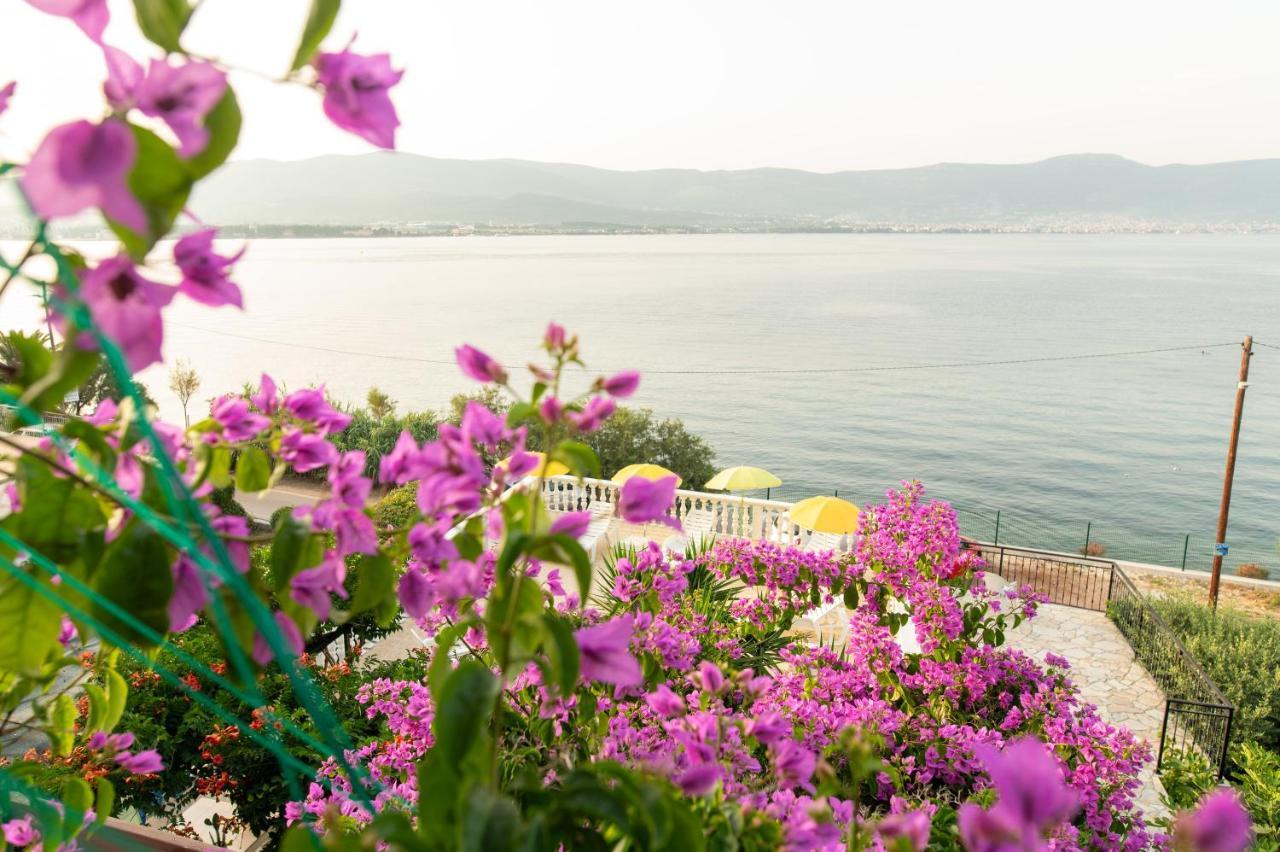 Villa Fjaba - By The Sea - With The Big Terraces & Great Sea View Trogir Exteriör bild